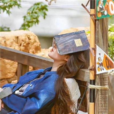 抽象画中的越南少女