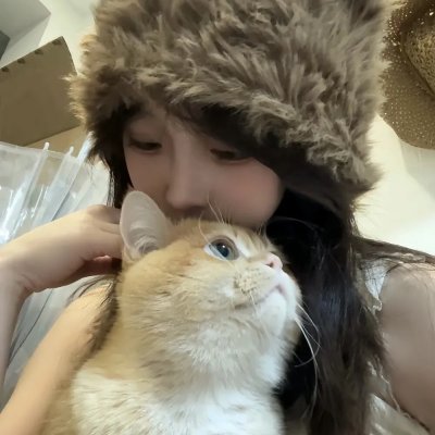 没人瞭波斯猫