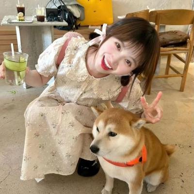 剧集频道